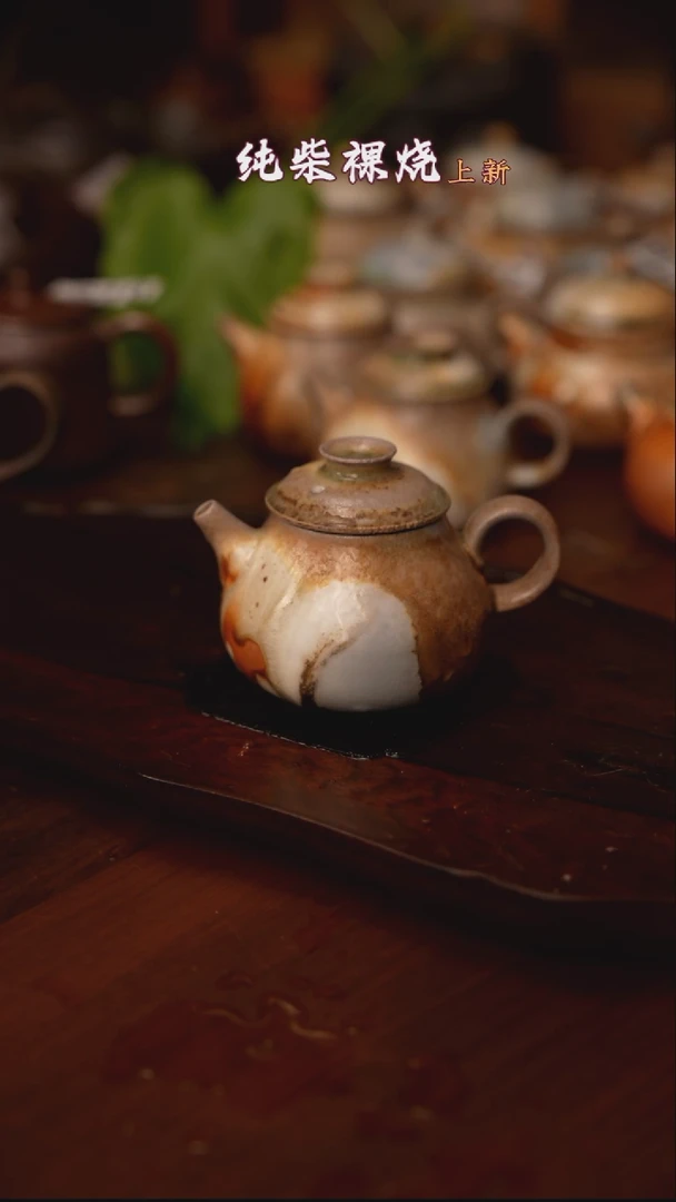 213柴窑裸烧自然落灰器