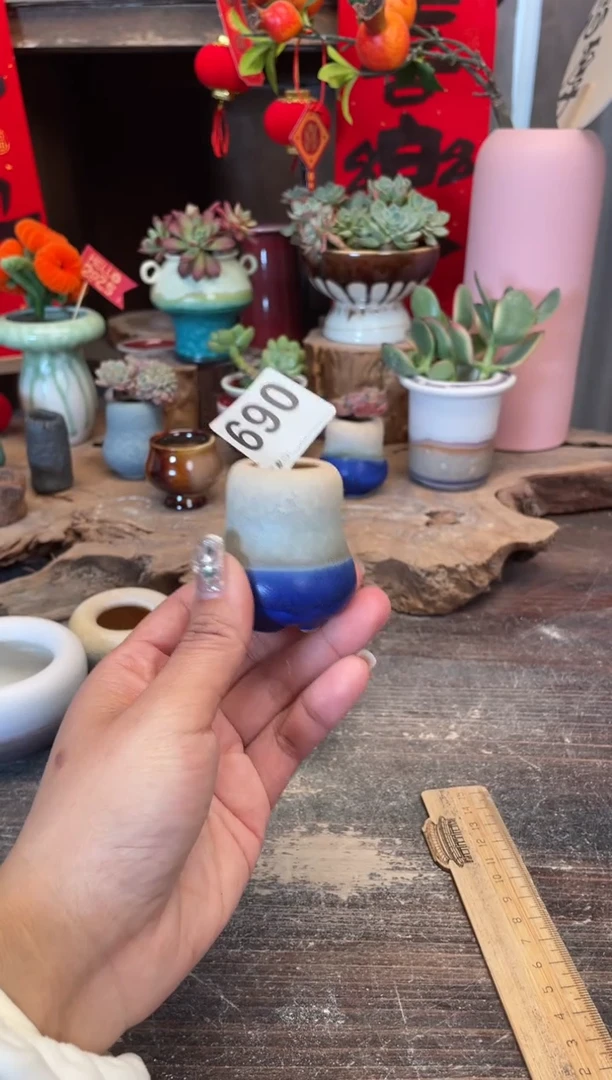 【闪购商品】摆件690福利知木小芳花盆