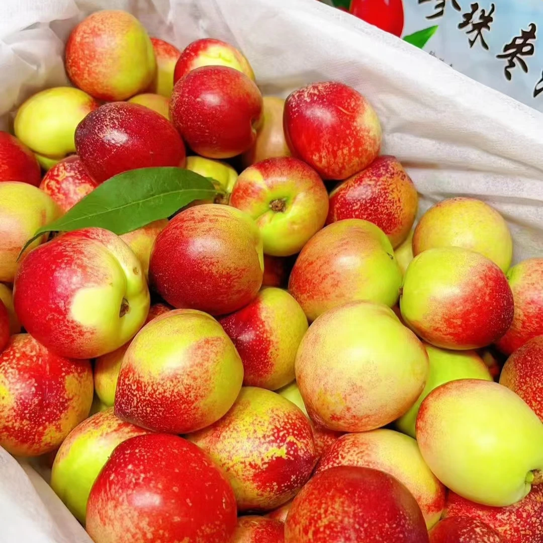 【1斤】枣油桃1斤装 山东省