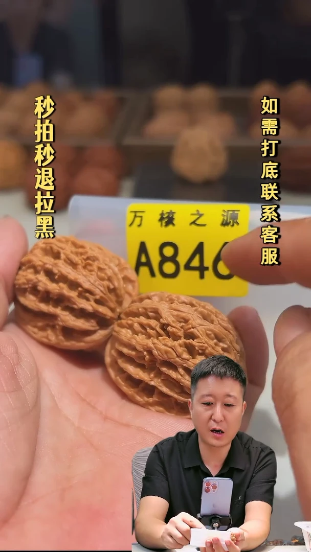 吊坠文玩核桃A846九龙筋