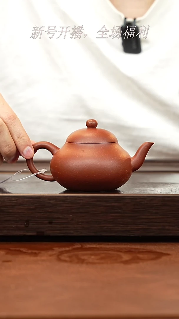 茶壶紫砂25y23低槽青梨