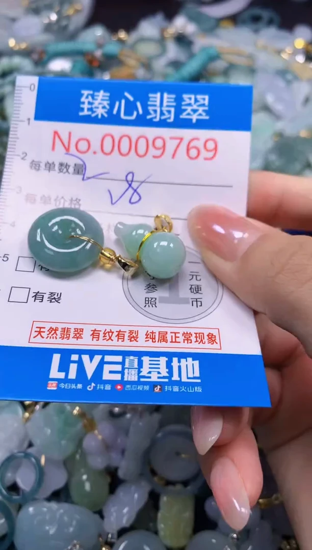 颈饰未镶嵌翡翠9769