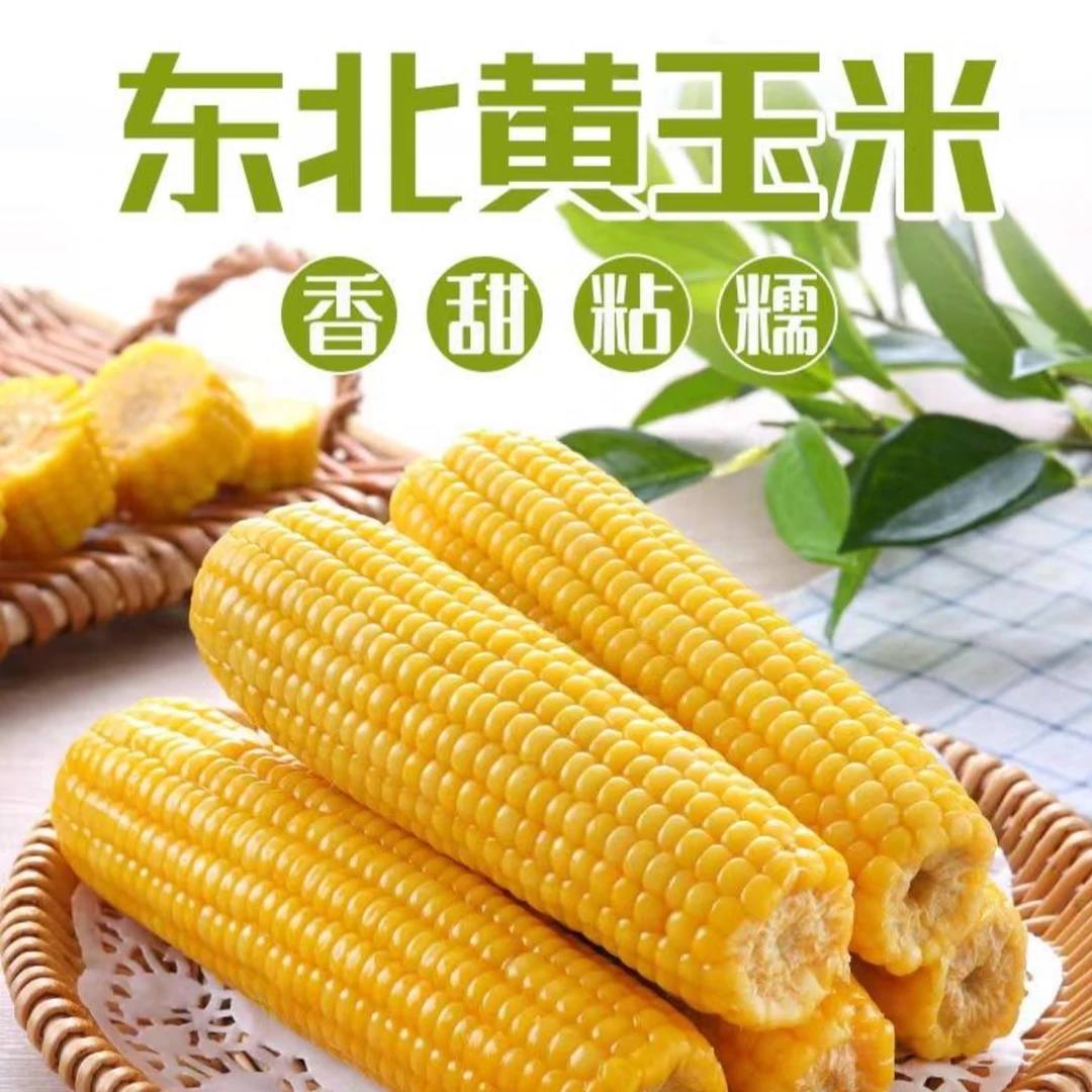 试吃2根东北黄糯透明真空玉米10根整重5斤包邮H
