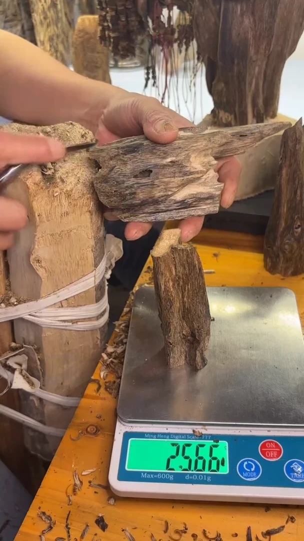 沉香沉香碎屑陆河品种25克