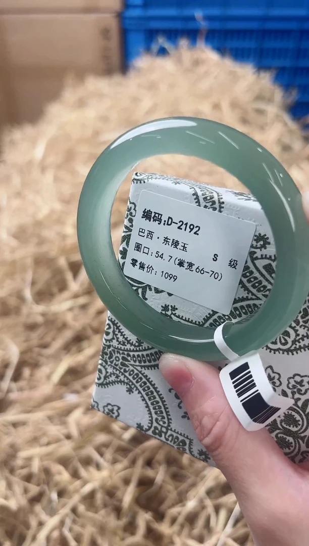 未镶嵌手镯石英质玉D-2192