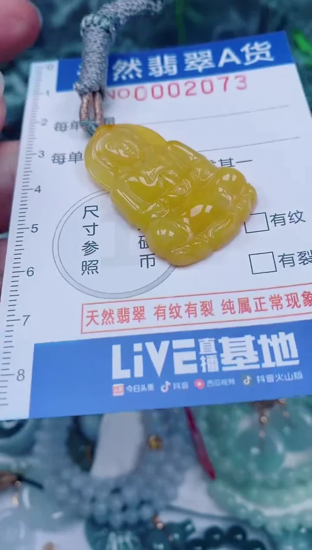 颈饰未镶嵌翡翠00002073