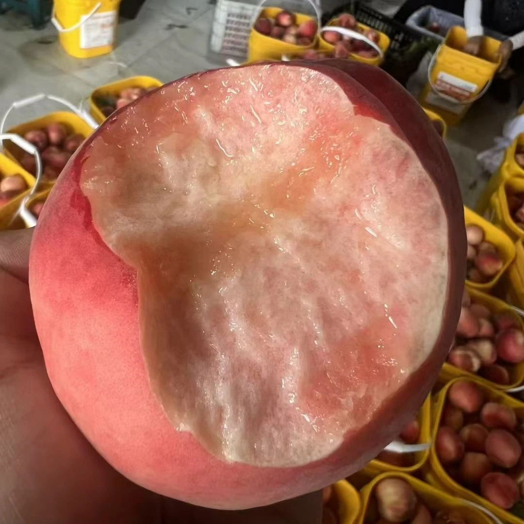 【明天下架】粉玉脆桃 肥城 脆甜多汁味足【建议硬吃】放不软 4.7斤