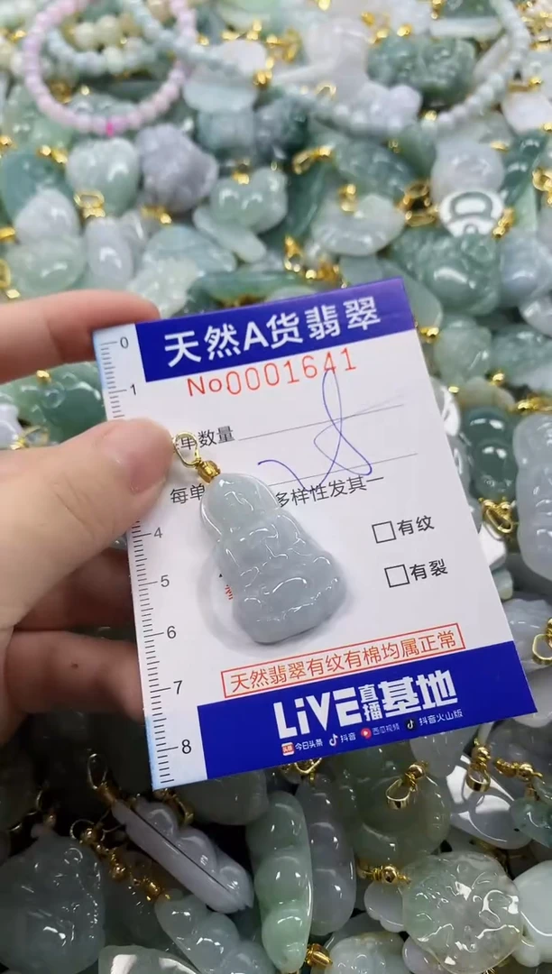 颈饰未镶嵌翡翠天然A货翡翠