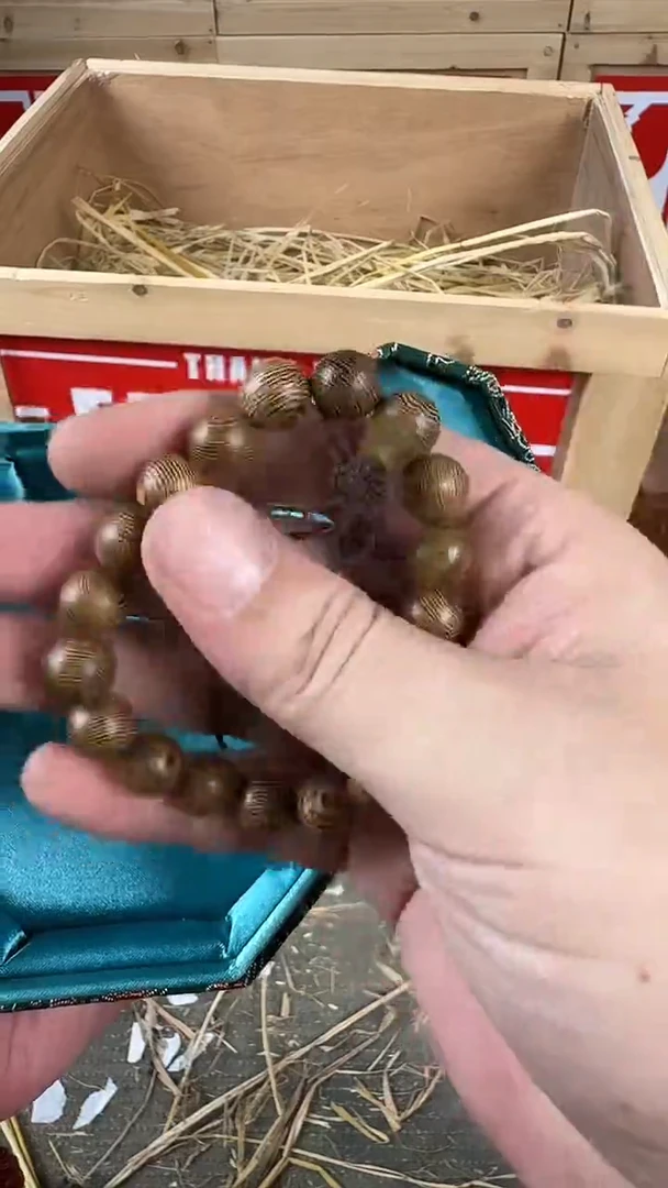 手串菩提根/象牙果蚂蚁