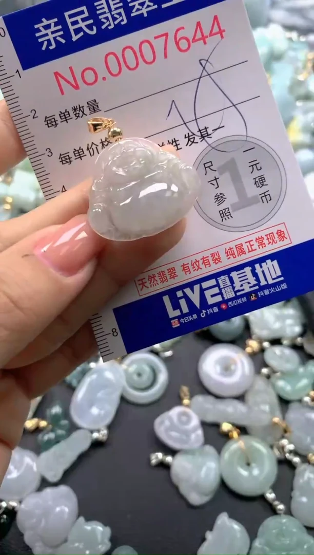 颈饰未镶嵌翡翠7644