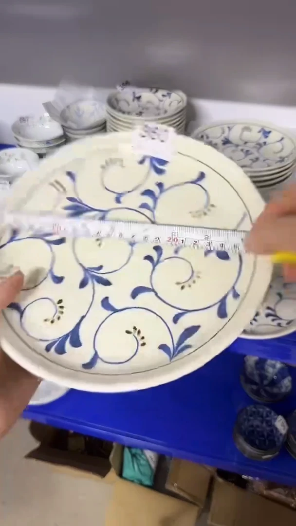 圆形日本进口  24厘米平盘