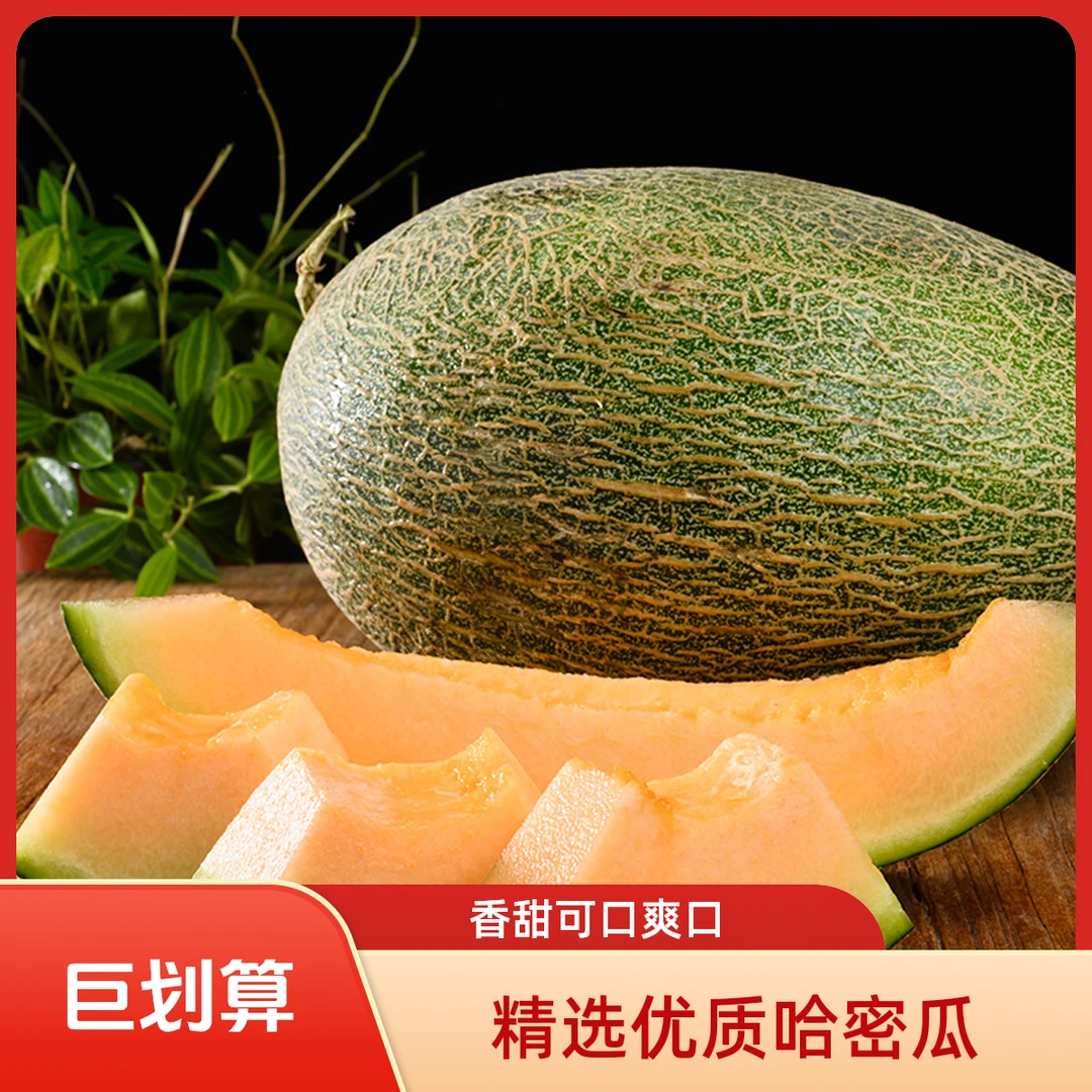 知味优鲜山东西州蜜25号哈密瓜 当季新鲜脆甜多汁水果