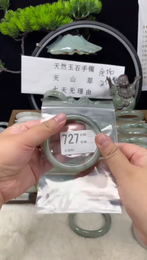 未镶嵌手镯石英质玉（天山翠）727
