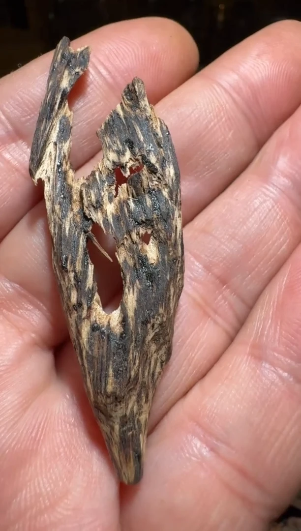 沉香沉香碎屑文莱1.7克