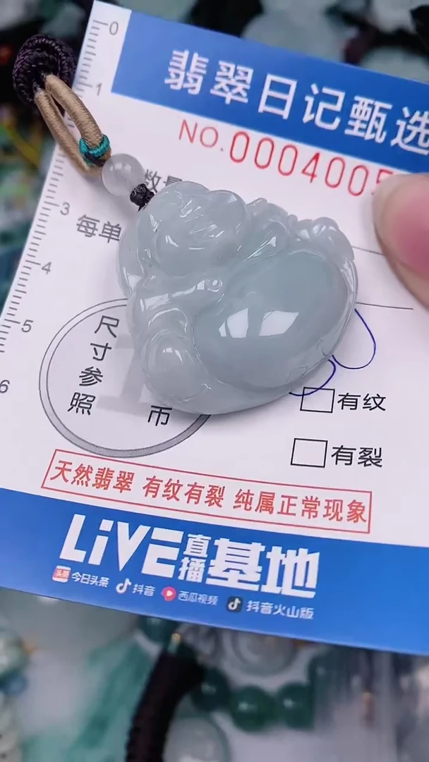【闪购商品】翡翠颈饰未镶嵌00004005