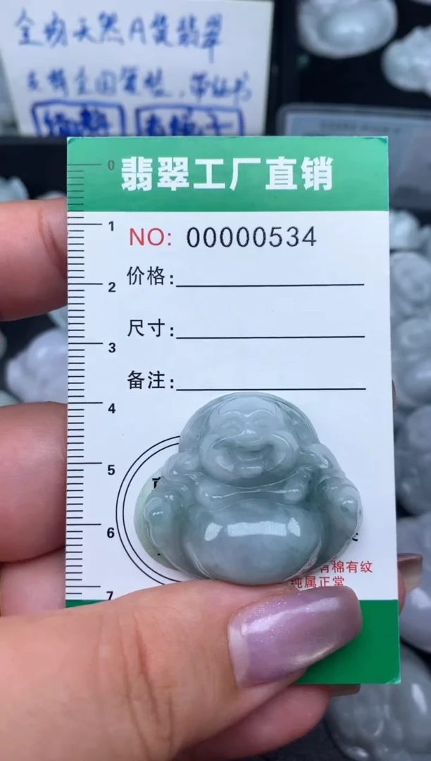 翡翠未镶嵌颈饰缅甸天然A货翡翠0534