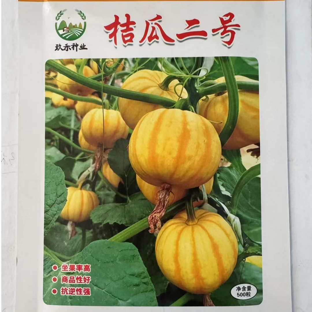 桔瓜二号南瓜种子