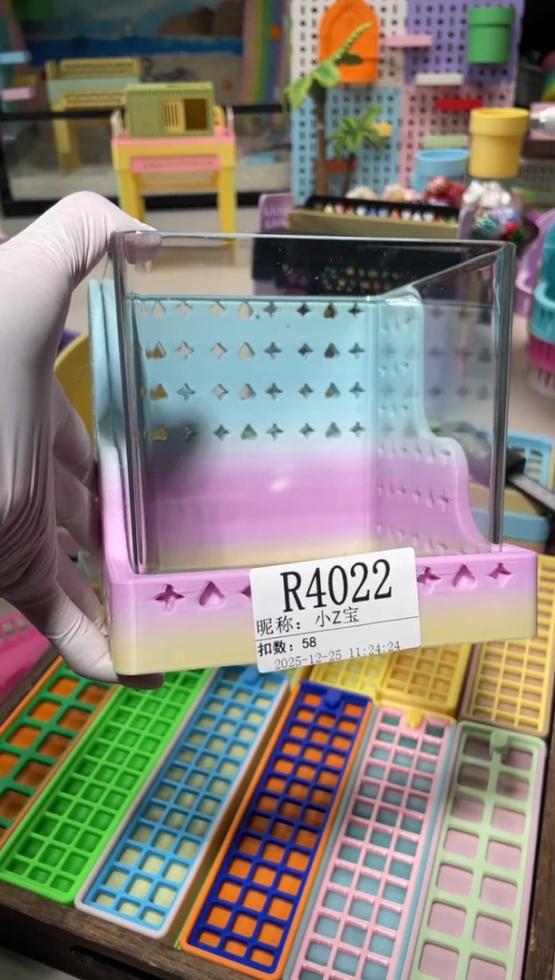 小*宝陌派帝国寄居蟹4022