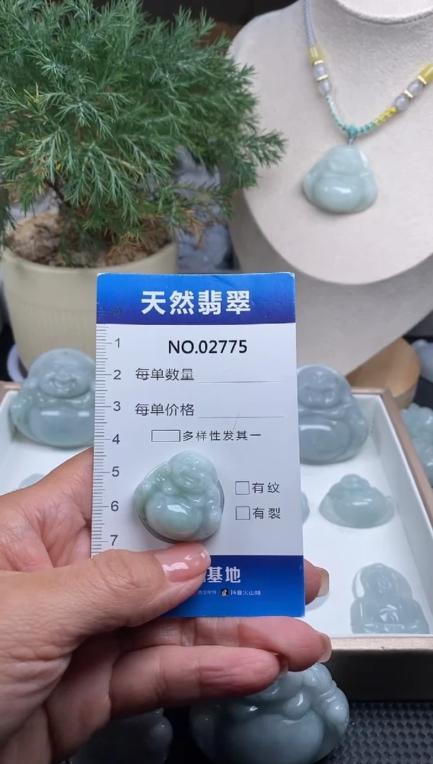 颈饰未镶嵌翡翠纯天然A货翡翠2775