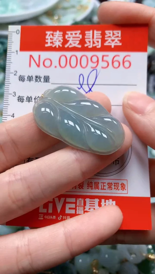 翡翠未镶嵌吊坠(不含链)9566