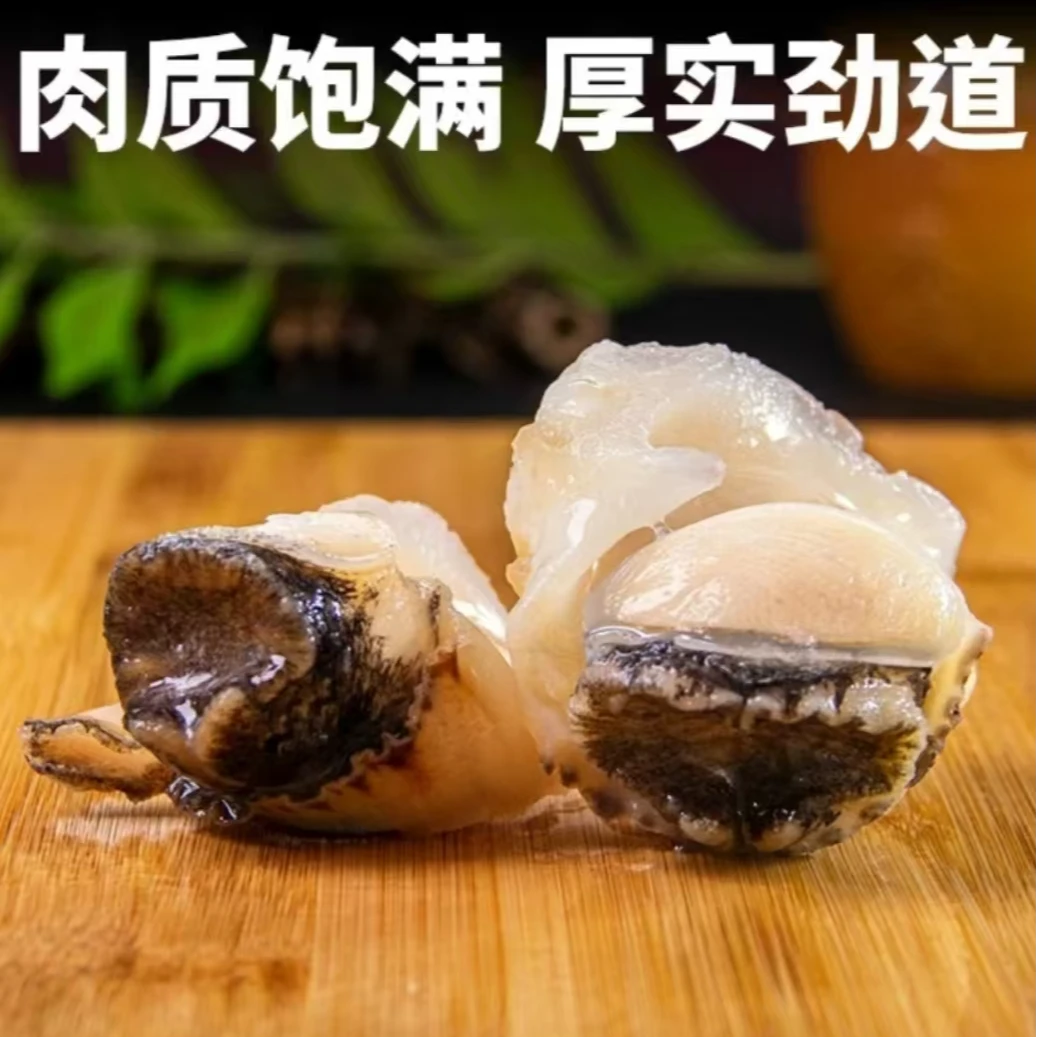 东港本地海螺鲜活处理海螺肉去内脏辣线