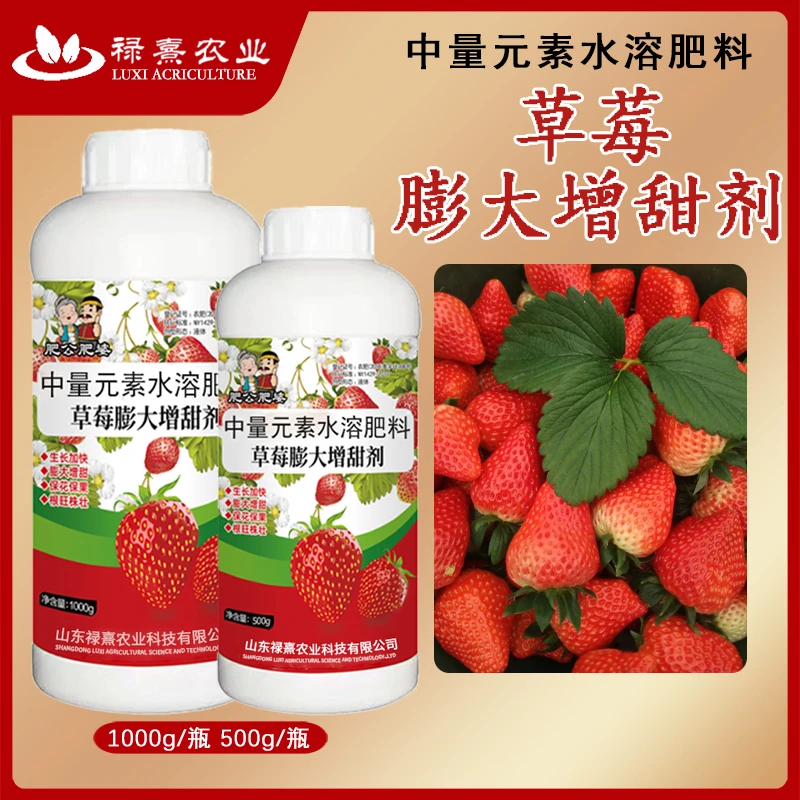 草莓膨大增甜剂草莓专用肥增甜膨大增色安全无残留不含激素