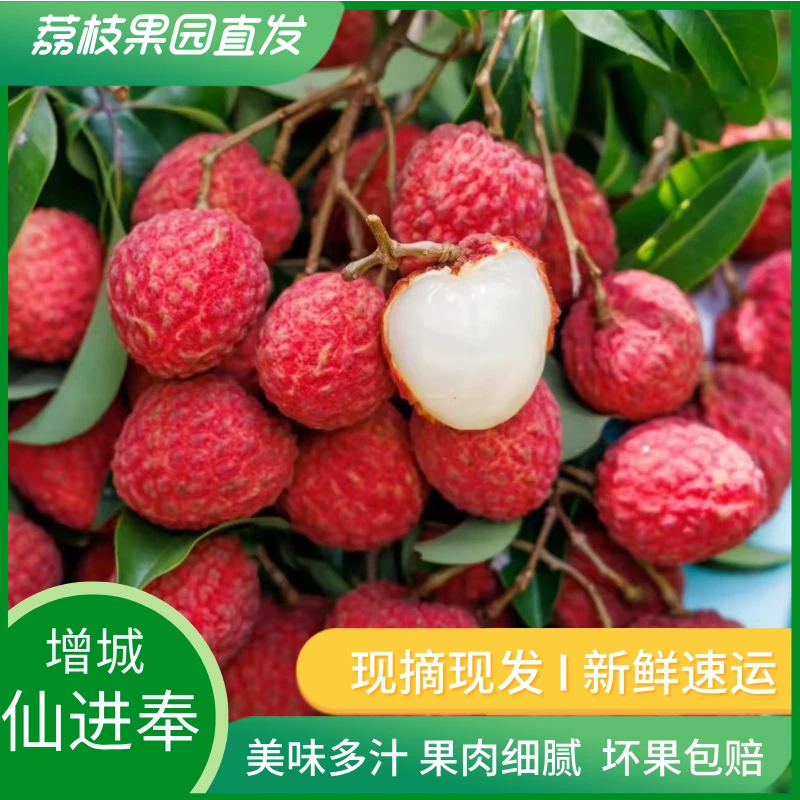 顺丰空运广东增城仙进奉新鲜现摘现发荔枝爆甜时令发货送礼必备