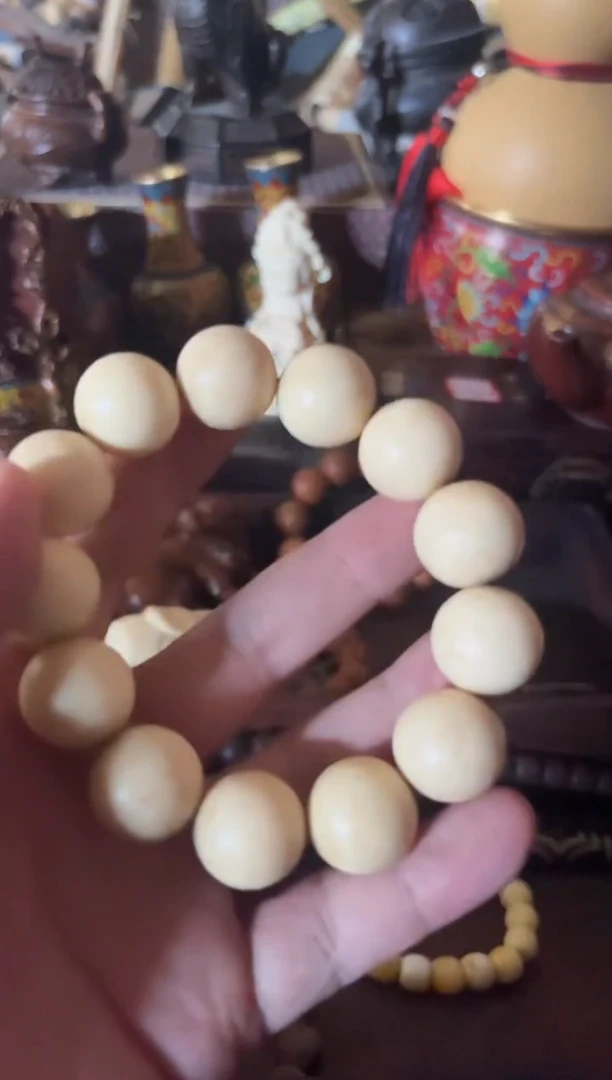 黄杨木11111111111111111111