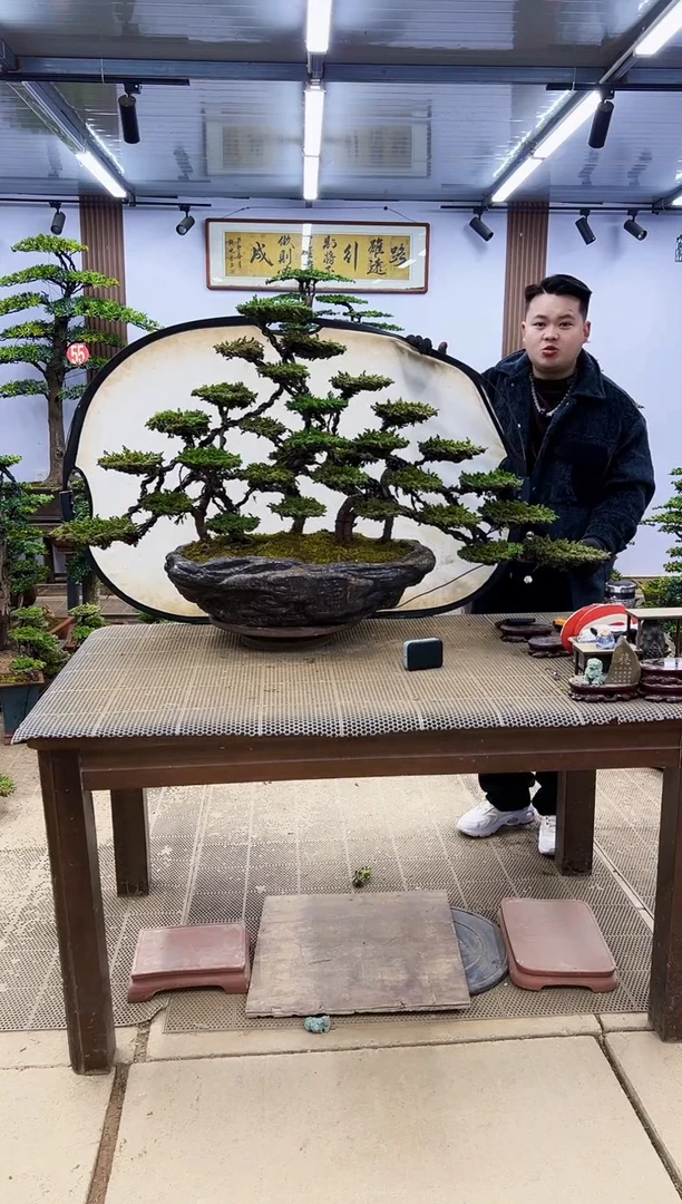 【闪购商品】00000000000