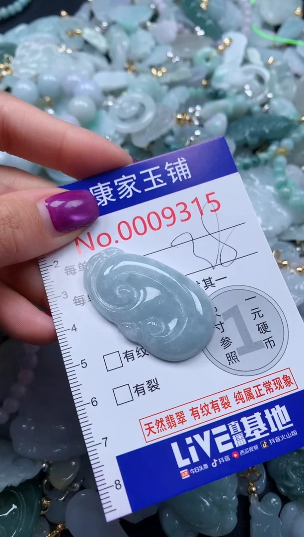 颈饰未镶嵌翡翠9315