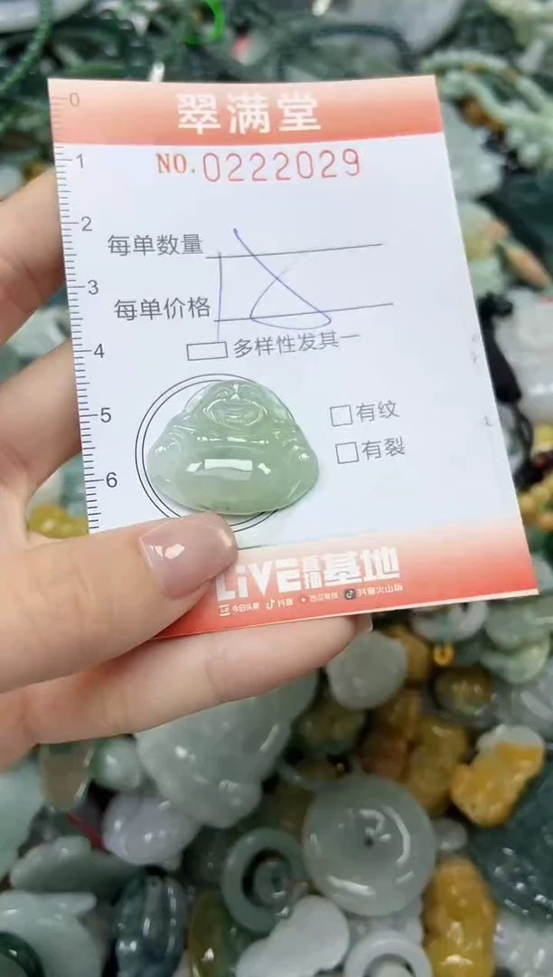 颈饰未镶嵌翡翠闪购0222029