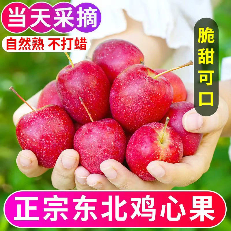 东北鸡心果脆甜多汁新鲜采摘脆甜可口-1