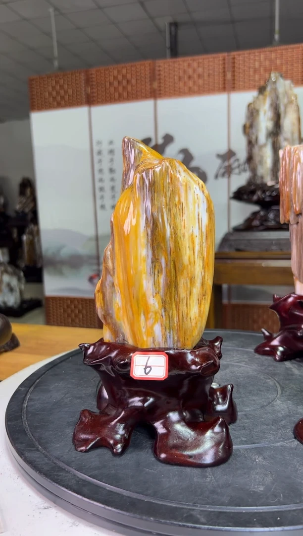 未镶嵌珠宝奇石硅化玉9