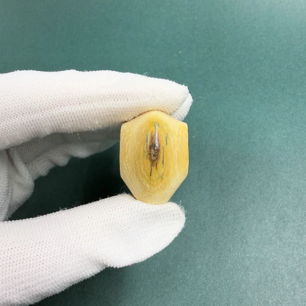 H5758天然猛犸牙鲨鱼背蓝眼（瑕疵）三通配饰 支持鉴定 假一罚四