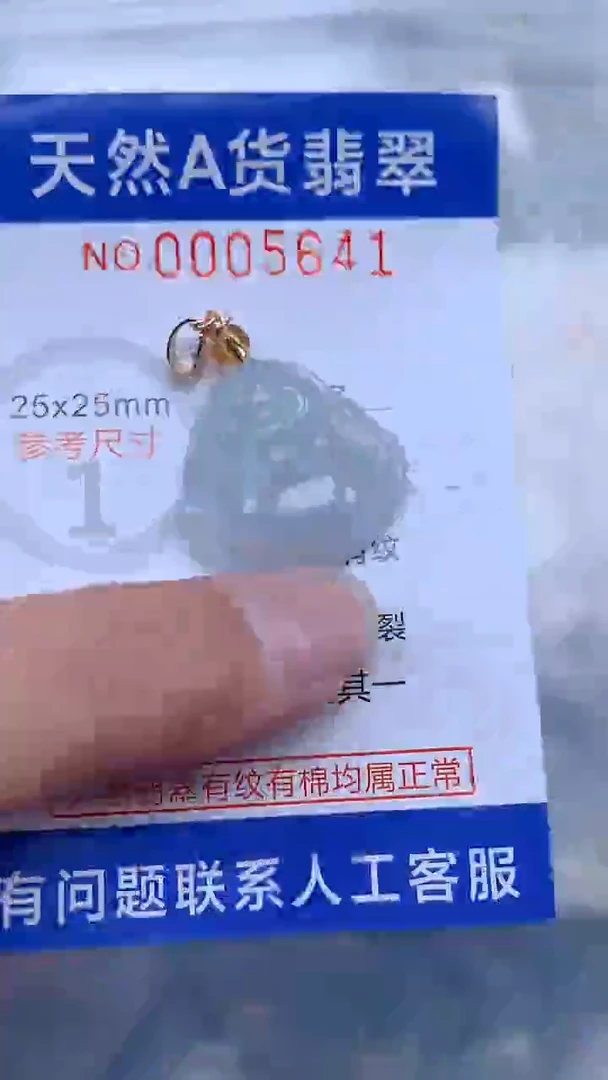 翡翠未镶嵌吊坠(不含链)1