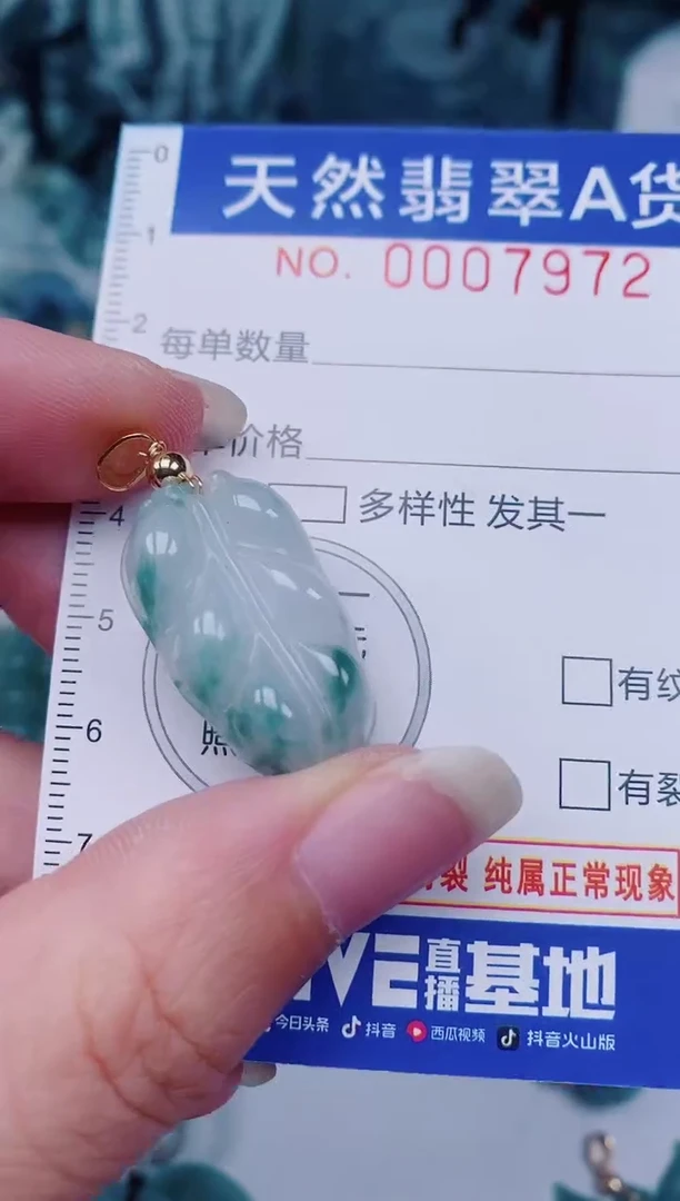 颈饰未镶嵌翡翠00007972