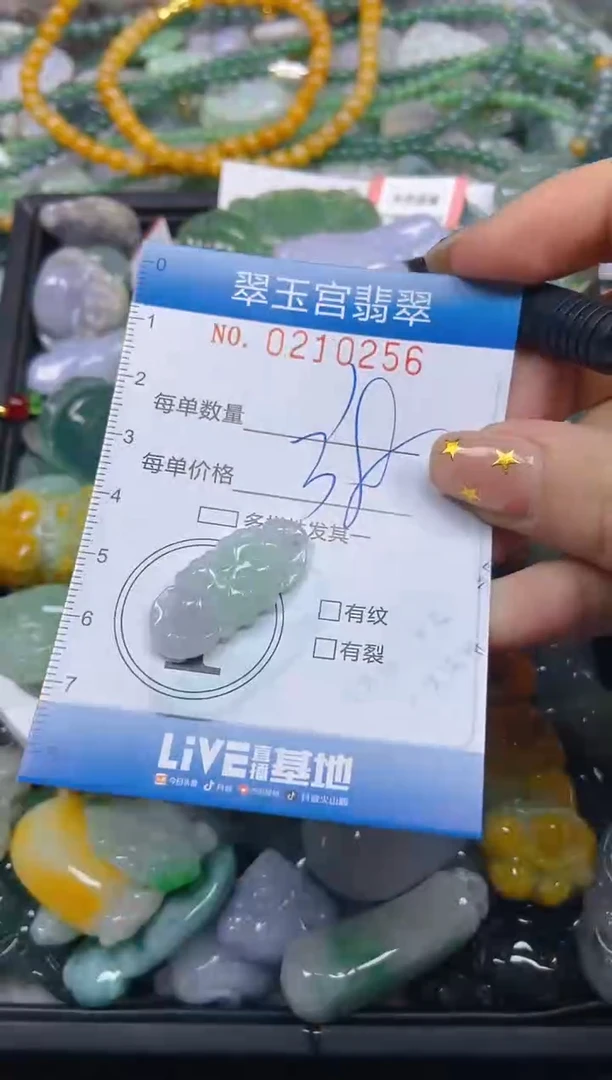 颈饰未镶嵌翡翠闪购C0210256
