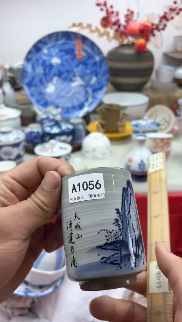 【闪购商品】碟A10563............