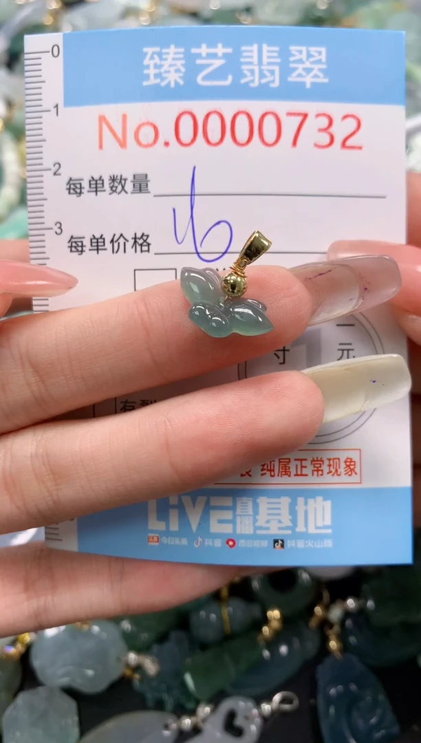 翡翠未镶嵌吊坠(不含链)732