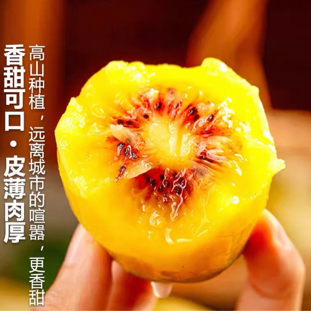 【季节限定】【红心猕猴桃】【2.2-2.5斤礼盒装】【地理标志性果品】【顺丰次日达】贵州省