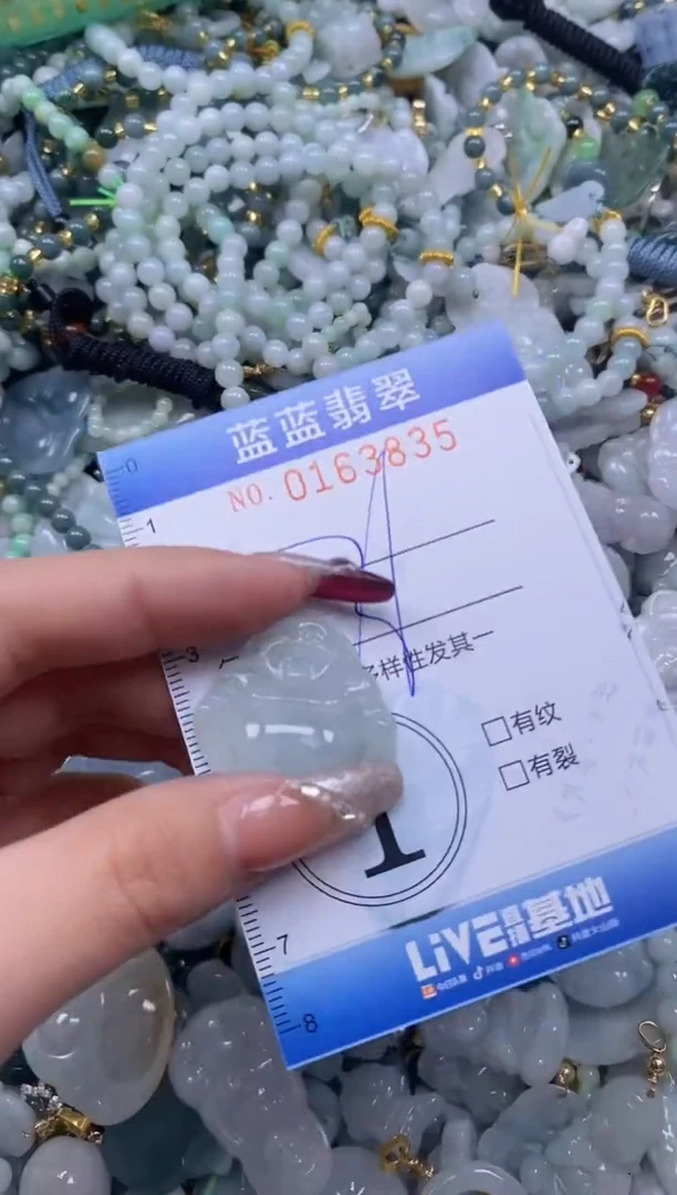 【闪购商品】翡翠颈饰未镶嵌闪购0163835