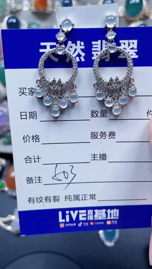 银S925镶嵌翡翠耳饰503