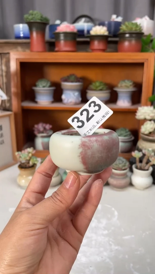 瓷片323小芳直播编号