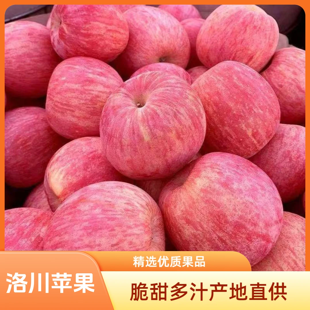 2025陕西洛川红富士苹果脆甜新鲜当季水果