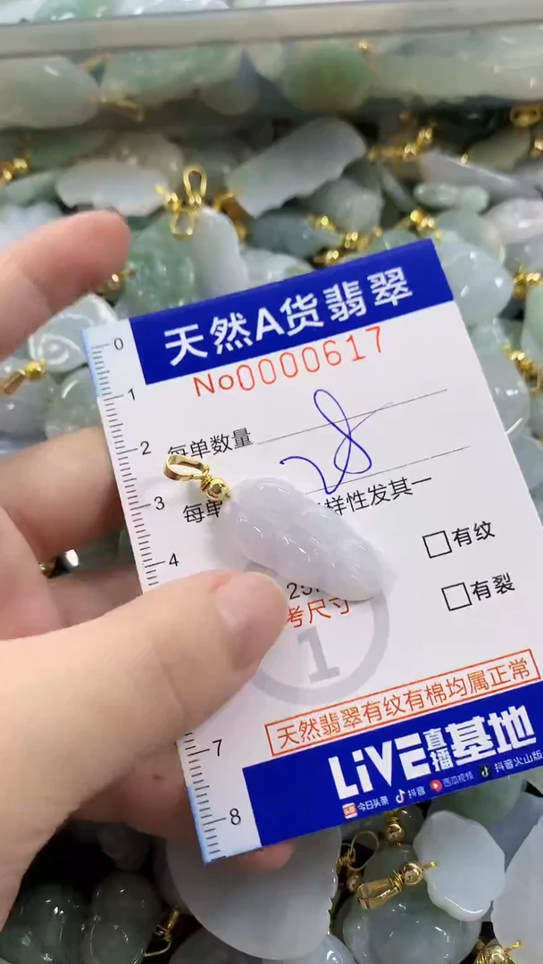 颈饰未镶嵌翡翠天然A货翡翠
