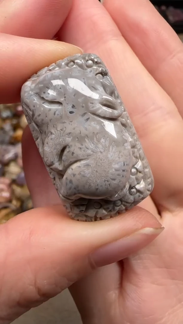 硅化珊瑚（珊瑚玉）未镶嵌颈饰205