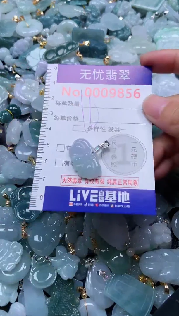 颈饰未镶嵌翡翠9856