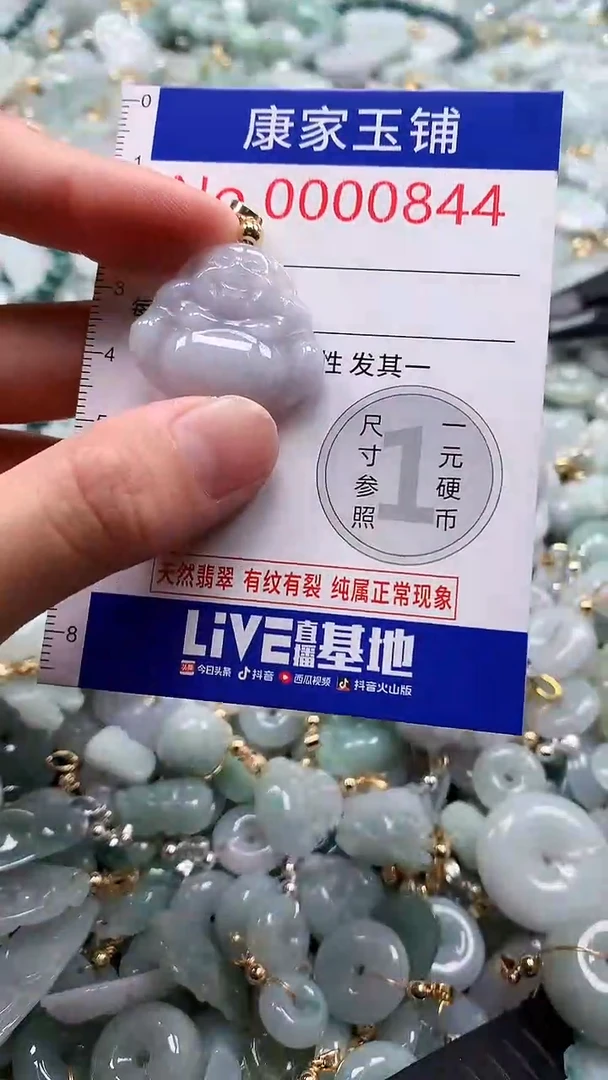 翡翠未镶嵌吊坠(不含链)844