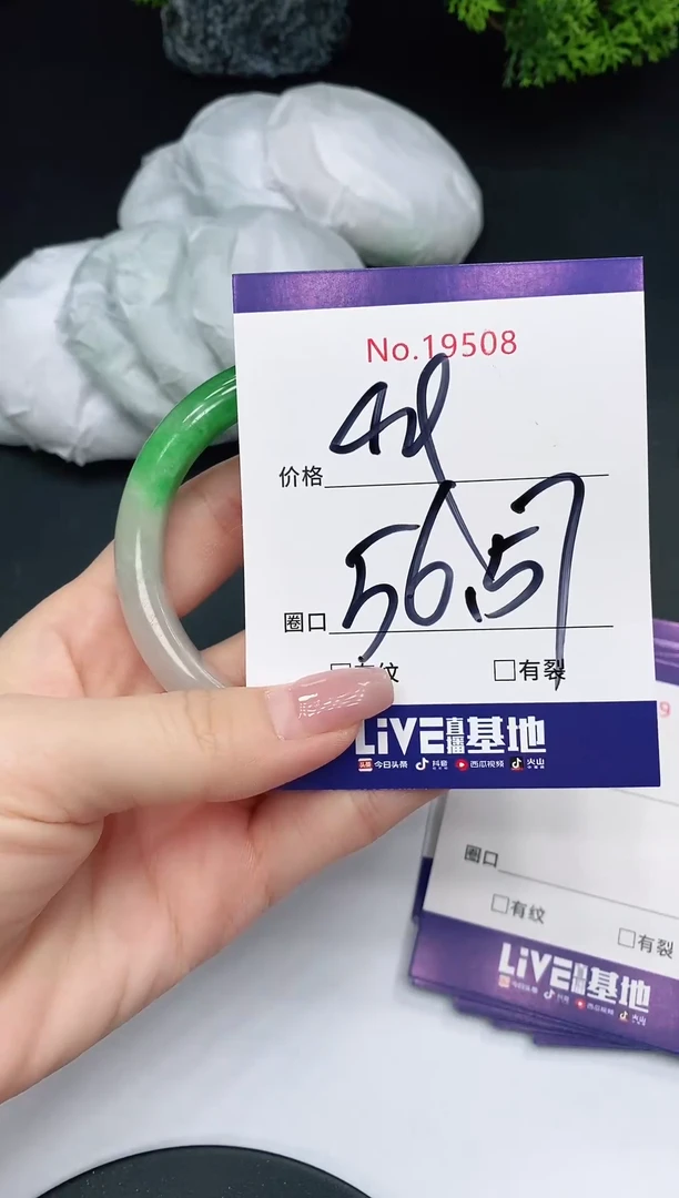 未镶嵌手镯翡翠19508