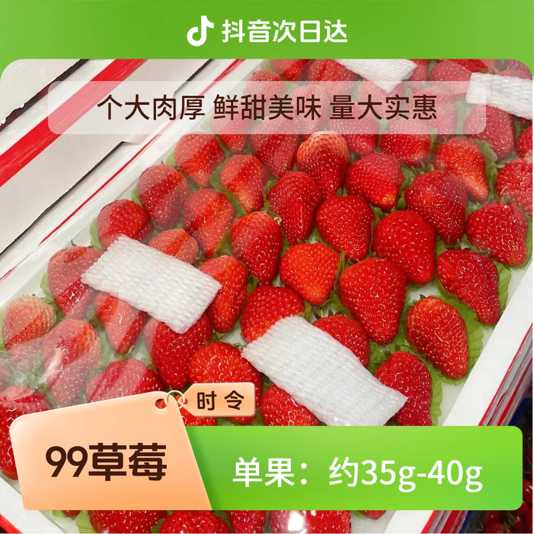 只北京5环内闪送【巨无霸】丹东99草莓一箱净重4.5斤左右99草莓辽宁省